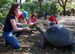 With over 3000 animals in its care, the Zoo spends With over 3000 animals in its care, the Zoo spends about a million dollars annually, on feeding them. The diets of the animals are incredibly varied,
